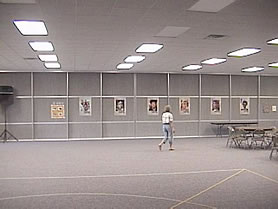 sliding room divider picture
